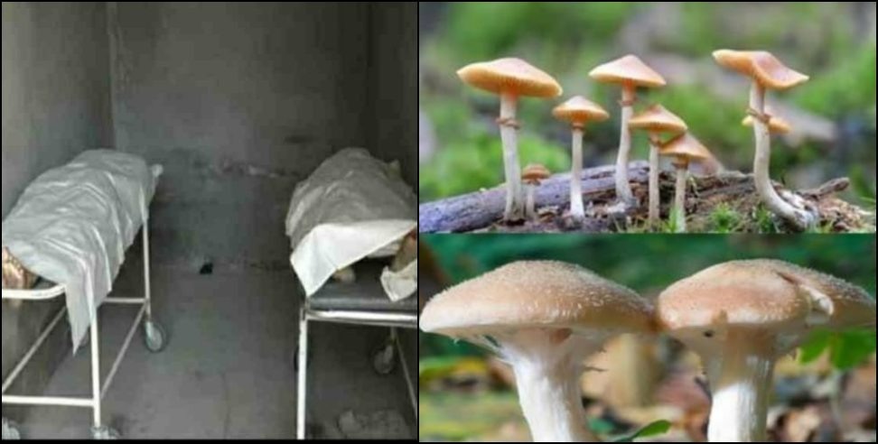 जंगली मशरूम खाने से पति की भी मौत, पौड़ी गढ़वाल में पत्नी पहले ही गंवा चुकी जान