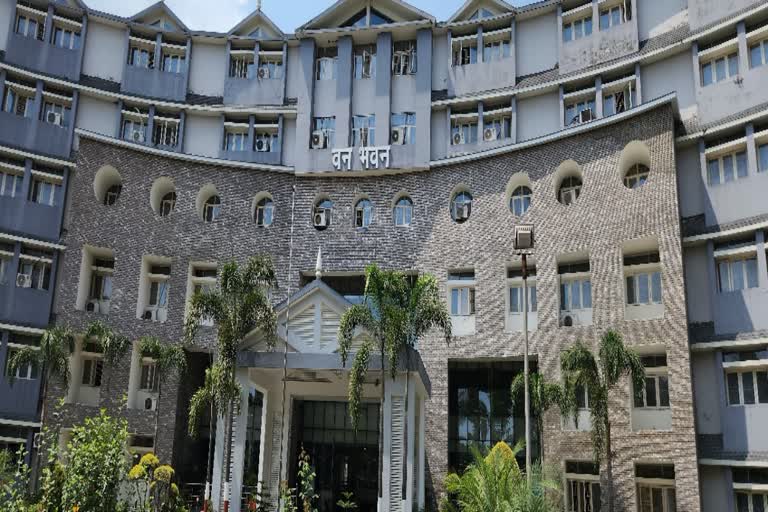 मसूरी 7375 बाउंड्री पिलर गायब केस: अब उत्तराखंड हाईकोर्ट पहुंचा मामला, जानें अबतक क्या हुआ?